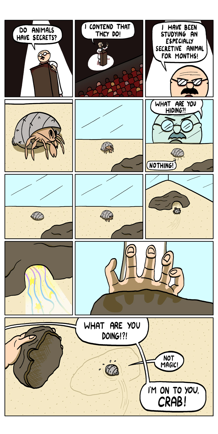 ''So please, will you all help me spy on my hermit crab???''