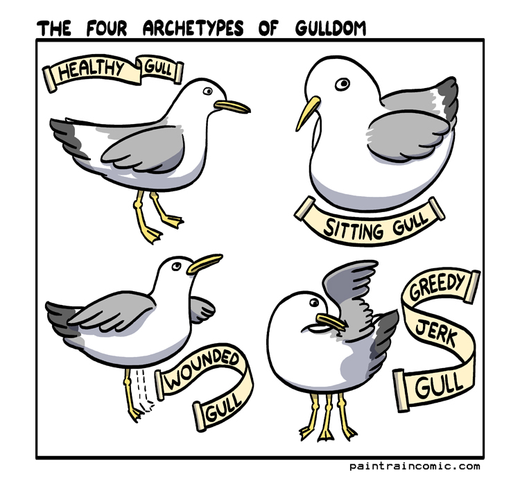 Gulls is all about dem gams